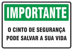 Importante - O Cinto de Segurança Pode Salvar a Sua Vida