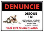 Denuncie - Disque 181 Ferir ou Abandonar Animais é Crime